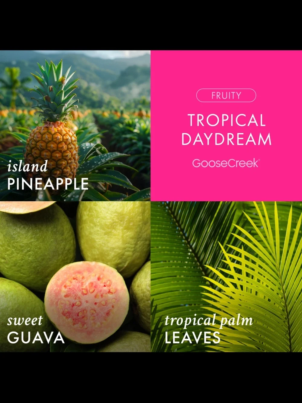 🪷 GC Tropical Day Dream 3-Wick Candle NEW